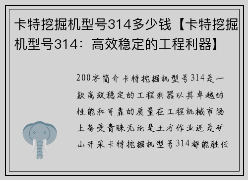 卡特挖掘机型号314多少钱【卡特挖掘机型号314：高效稳定的工程利器】